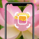 Descubra o Mundo das Plantas com Aplicativos de Identificação