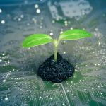 Tecnologia Verde: Caminhando Rumo a um Futuro Sustentável