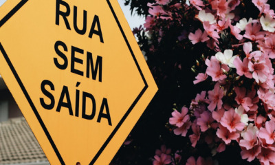 Veja quem visitou seu perfil nas redes sociais