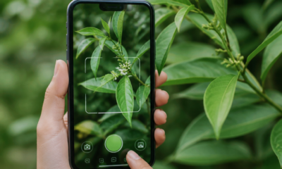 App para Identificar Plantas: Descubra Espécies em Segundos