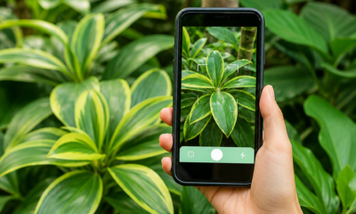 Identifique Plantas com o Celular de Forma Fácil