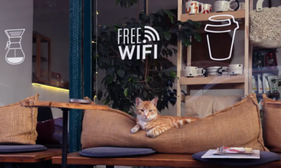 Encontre pontos de Wi-Fi próximos com um app